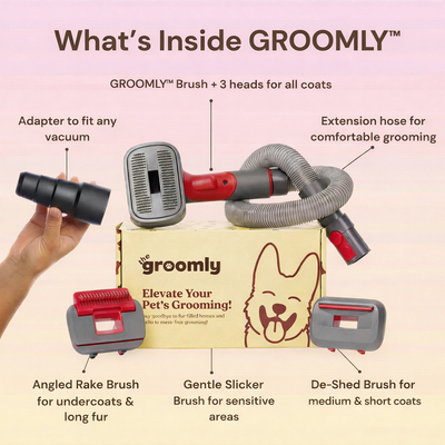 THE GROOMLY 3-in-1 Vacuum brush