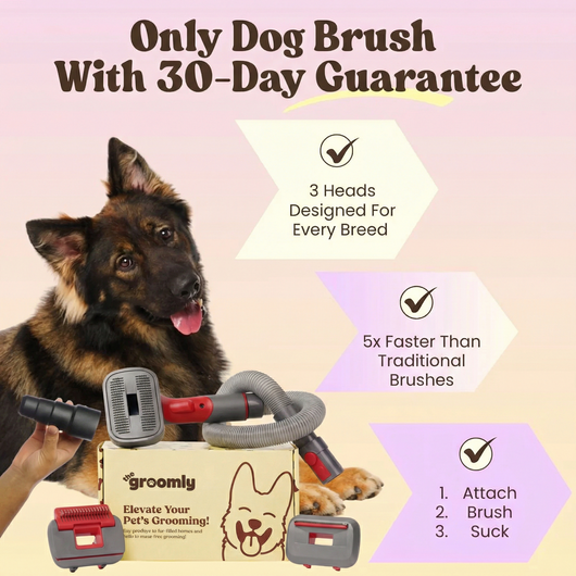 THE GROOMLY 3-in-1 Vacuum brush