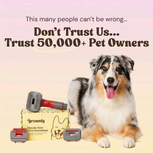 THE GROOMLY 3-in-1 Vacuum brush